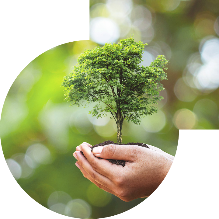 关怀人类、文化、环境与社会